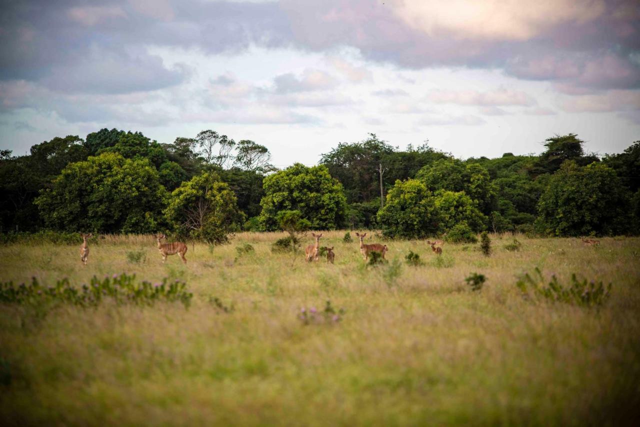 Gooderson Bushlands Game Lodge Hluhluwe Exterior photo